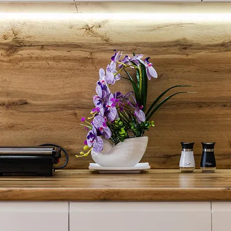 The Modern Escape By Ps * Golem (Tirana)